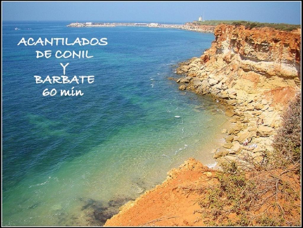 Acogedor Loft A 30 Minutos De La Playa Y Montana Apartment Lebrija Luaran gambar